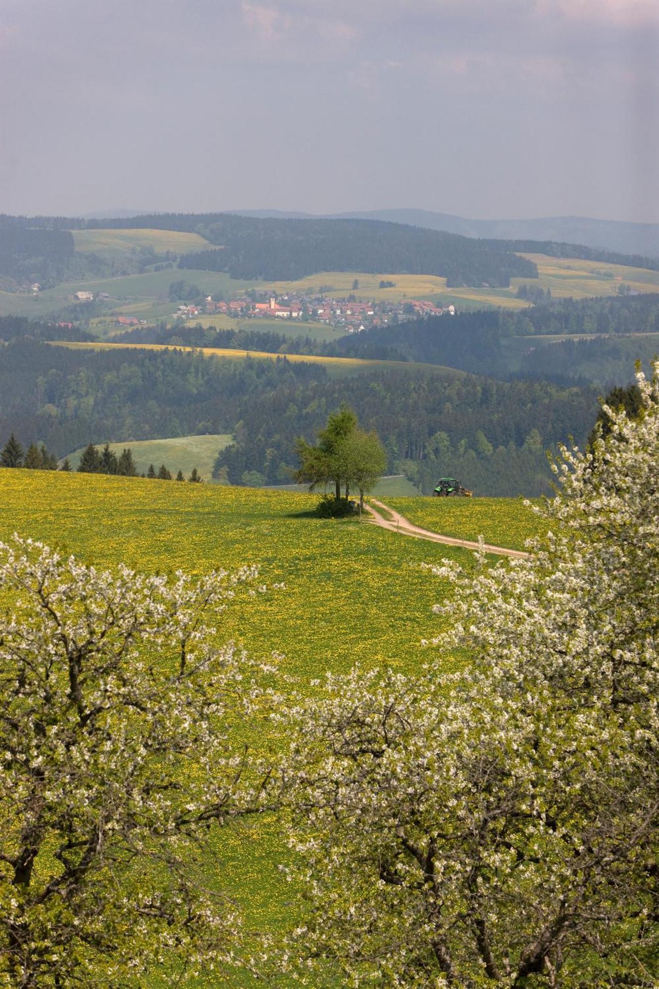 Drei Tannen - Wohnung 07 - Apartmenthaus, Titisee, Feldberg Eksteriør bilde